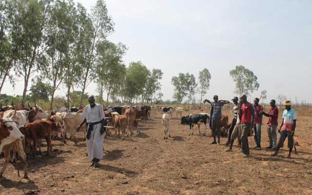 At least 134 Fulani herders killed in central Mali’s worst violence yet