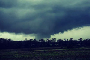 Tornadoes kill at least 14 in Alabama