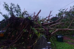 Cyclone Trevor hits Australia’s northern coast
