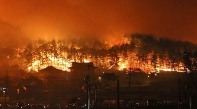 Deadly wildfires rage in South Korea