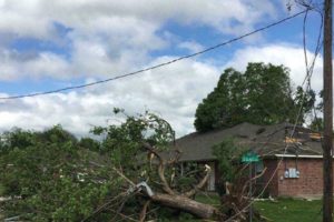 8 killed as strong storms hit US South