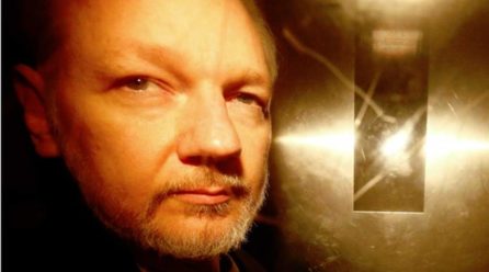 Assange too ill to appear via video link in hearing