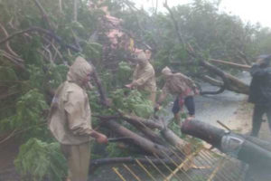 Fani starts weakening, says IMD; 6 killed in Odisha