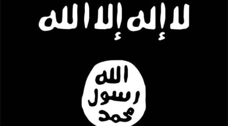 IS claims it killed 11 Nigerian soldiers