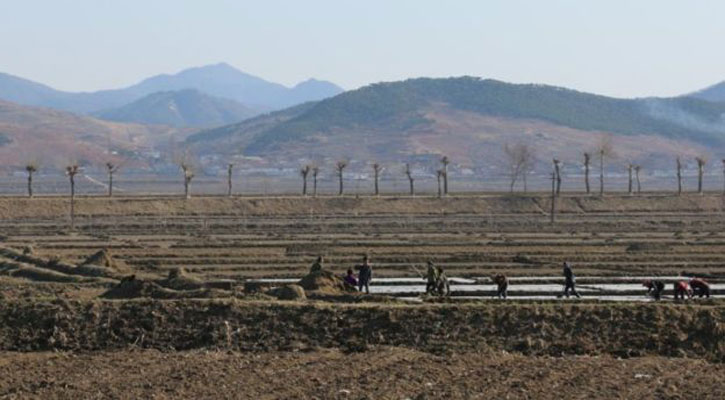 North Korea suffers worst drought in decades