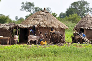 100 killed in Mali village attack: Reports