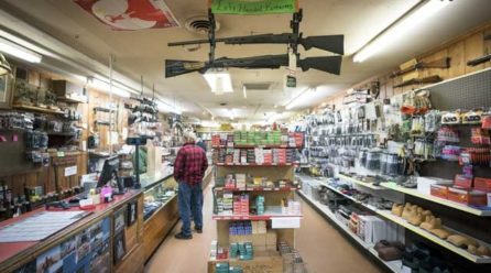 Gun ownership linked to greater incidence of domestic homicides in US