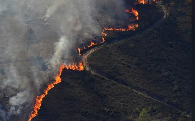 Wildfires hit central Portugal, 1,000 firefighters mobilised