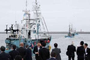 After 30 years, Japan resumes commercial whaling