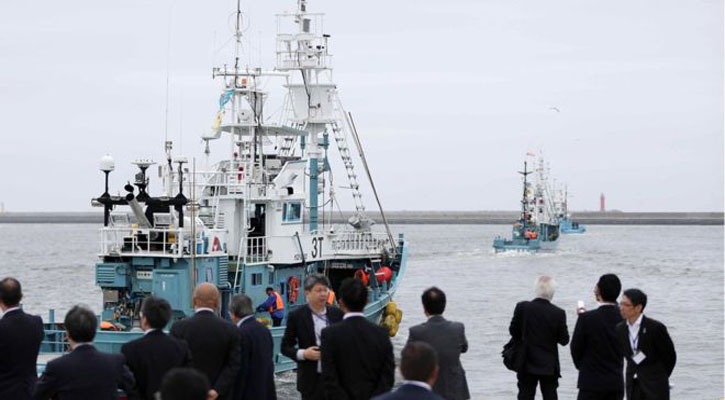 After 30 years, Japan resumes commercial whaling