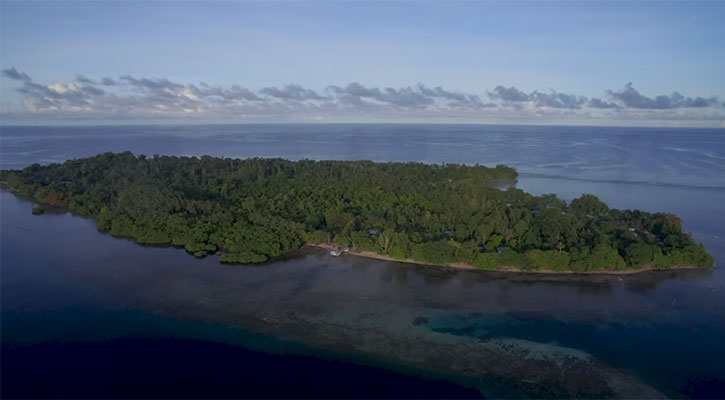 Women and children killed in PNG tribal massacre