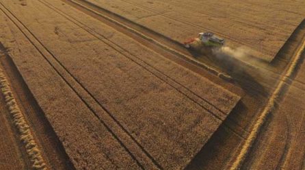 Earth’s food supply is under threat