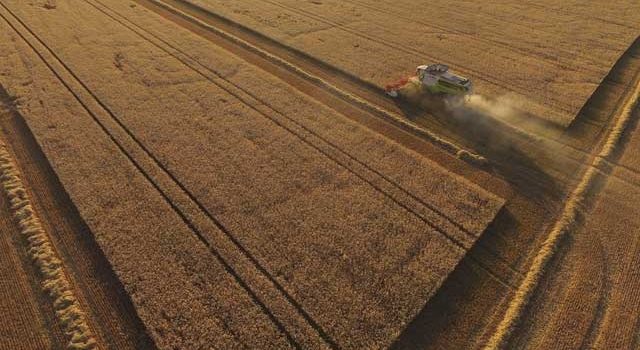 Earth’s food supply is under threat