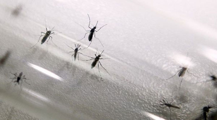 Singapore reports total 9 dengue deaths