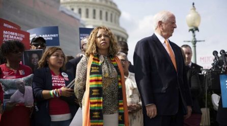 Democrats begin new push for gun control