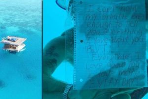 Man drowns during underwater marriage proposal