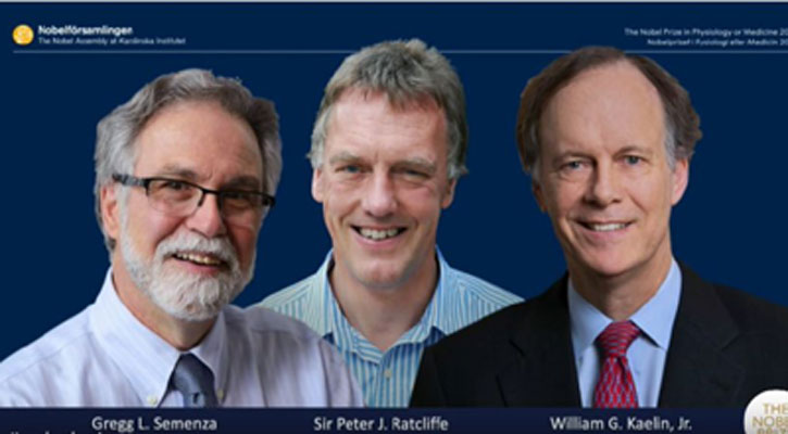 3 win Nobel Prize for discoveries in how cells use oxygen