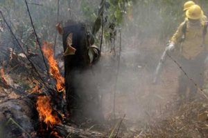 Threats and promises in lawless Amazon