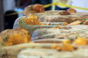 Egypt unveils biggest ancient coffin find in over a century