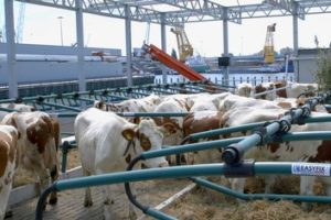 Moo-ving to the future?