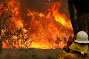 State of emergency declared in fire-hit Australia