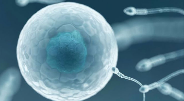 HIV-positive sperm bank opens in New Zealand