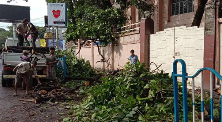 Cyclone Bulbul makes landfall, 2 dead in India