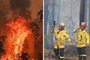 Travel warnings issued as fires ravage Australia