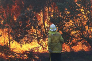 Australia could see hottest day on record