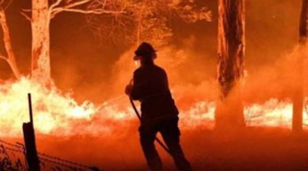 Australia fires: NSW declares week-long state of emergency