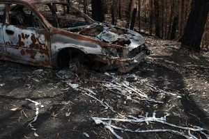 Australia declares emergency for capital over bushfire threat