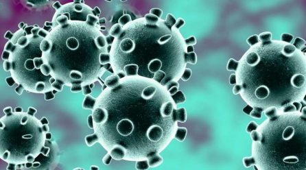 New China virus: US announces first case