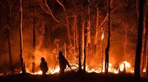 Climate change: Australia fires will be ‘normal’ in warmer world