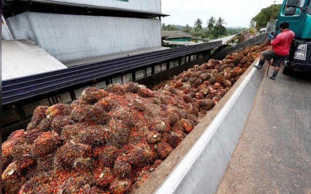 Malaysia talks to India over palm oil curbs