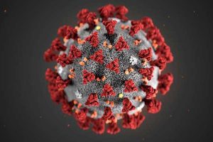 China Coronavirus death toll reaches 2,239