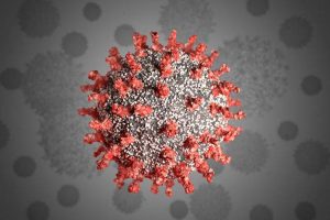 Coronavirus not man-made, has natural origin: Scientists