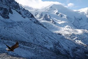 Five Czech mountaineers killed in Austrian avalanche