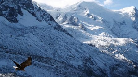 Five Czech mountaineers killed in Austrian avalanche