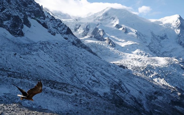 Five Czech mountaineers killed in Austrian avalanche