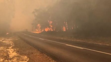 Researchers eye next Australian fire season