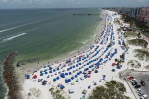 US states report record daily COVID-19 cases