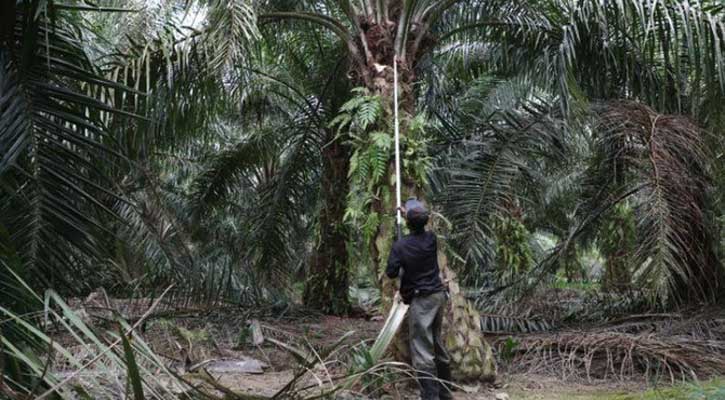 Malaysia to lift limit on hiring of foreign labor