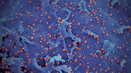 First Covid-19 reinfection documented in Hong Kong: Researchers