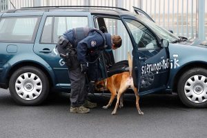 Car crashes into gate of Merkel’s office