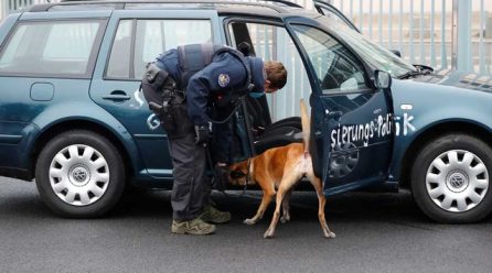 Car crashes into gate of Merkel’s office