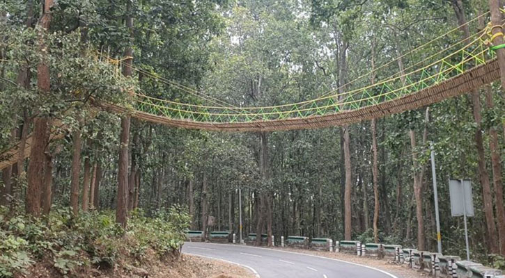 India builds bridge to help reptiles cross road