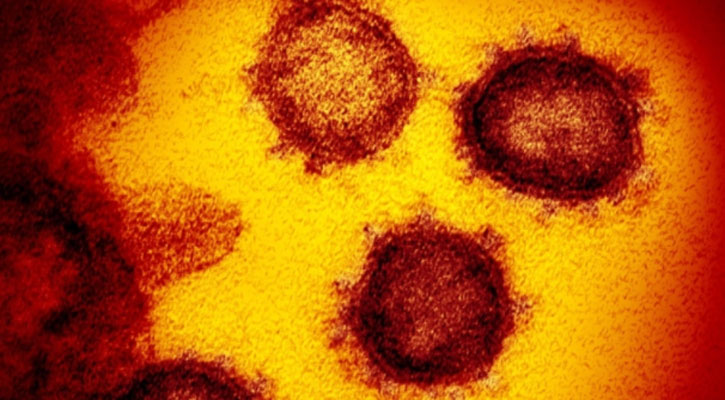 New coronavirus variant not out of control: WHO