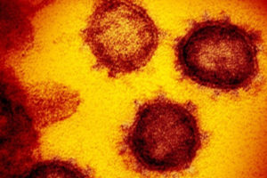 New coronavirus variant not out of control: WHO