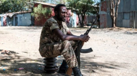 Gunmen kill dozens in Ethiopia’s Benishangul-Gumuz: Rights body