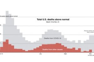 COVID wasn’t the only culprit in 2020